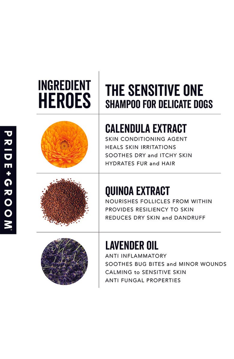 PRIDE+GROOM The Sensitive One Hypoallergenic Dog & Puppy Shampoo - With Hemp Oil, Aloe & Oatmeal For Sensitive Skin, Alternate, color, Brown
