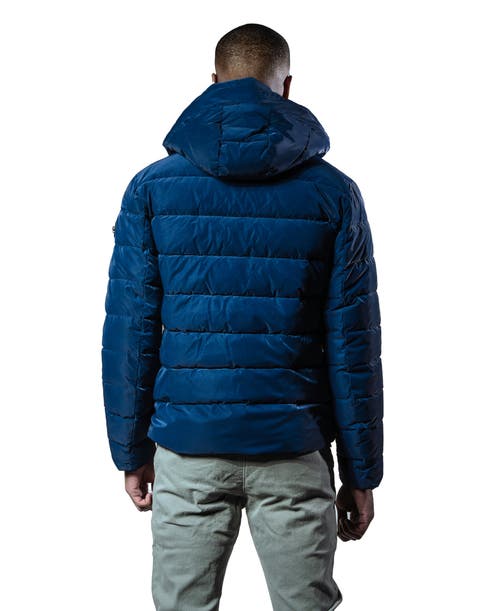 Woodpecker Sparrow Medium Weight Coat In Blue