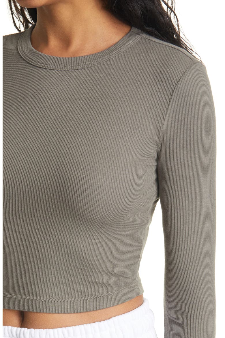Verona Ribbed Long Sleeve Crop Top, Alternate, color, TAUPE