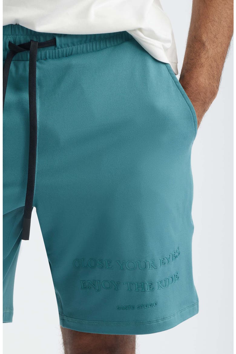 Tempo Enjoy Comfort Fleece Drawstring Shorts - Ryan Sheckler Edition, Alternate, color, BLUE