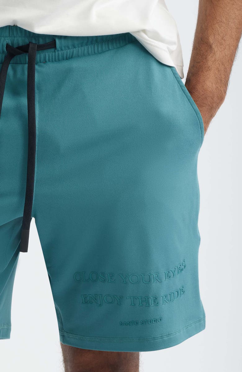 SANTO STUDIO Tempo Enjoy Comfort Fleece Drawstring Shorts - Ryan Sheckler Edition, Alternate, color, Blue