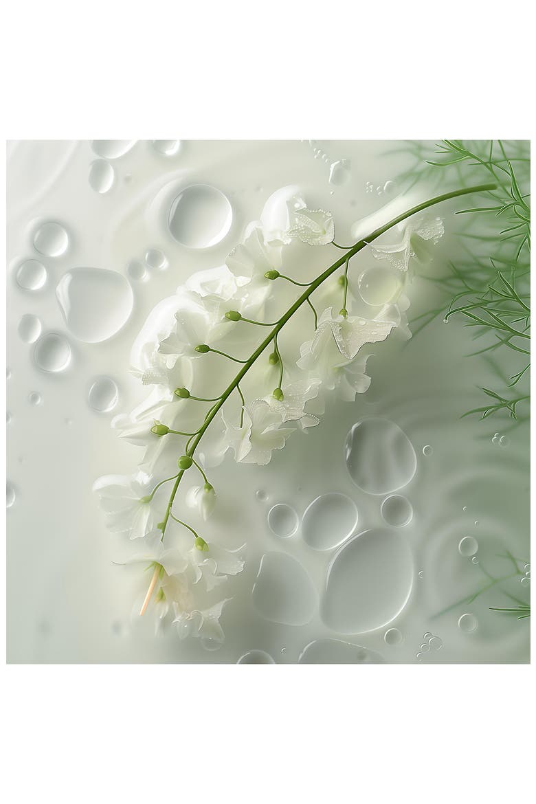 Tonique Hydratant Leave-In Hydrating Mist, Alternate, color, NO COLOR