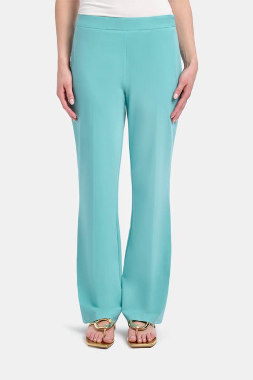 Capsule 121 The Burst Pant In Blue