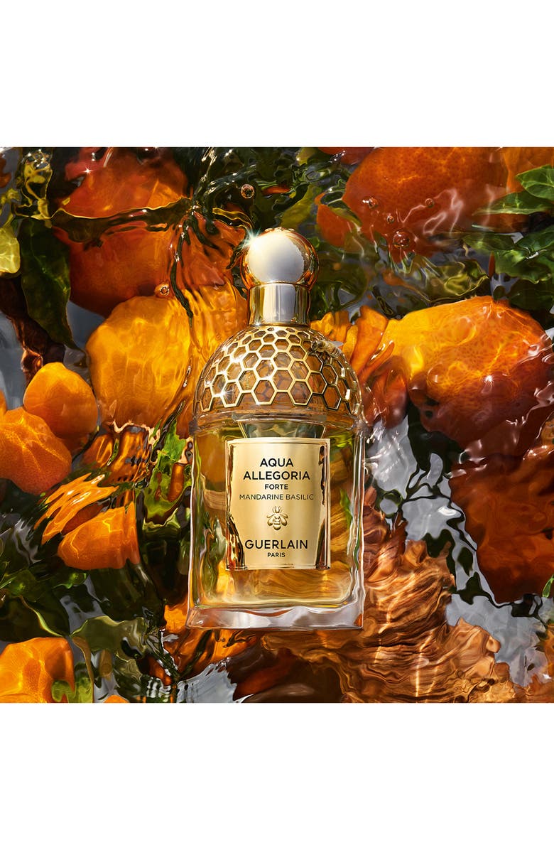 Guerlain Aqua Allegoria Mandarine Basilic Forte Eau de Parfum Gift Set $175 Value, Alternate, color, 