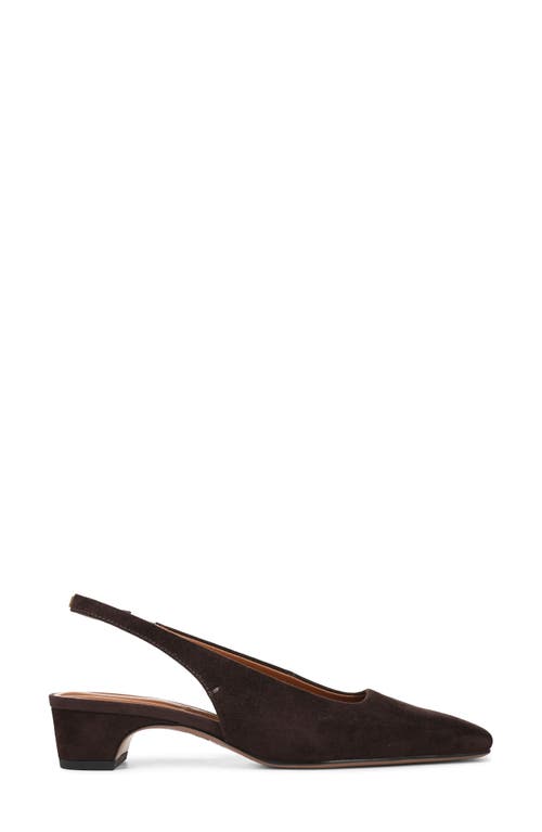 Franco Sarto Lyanna Slingback Pump In Brown