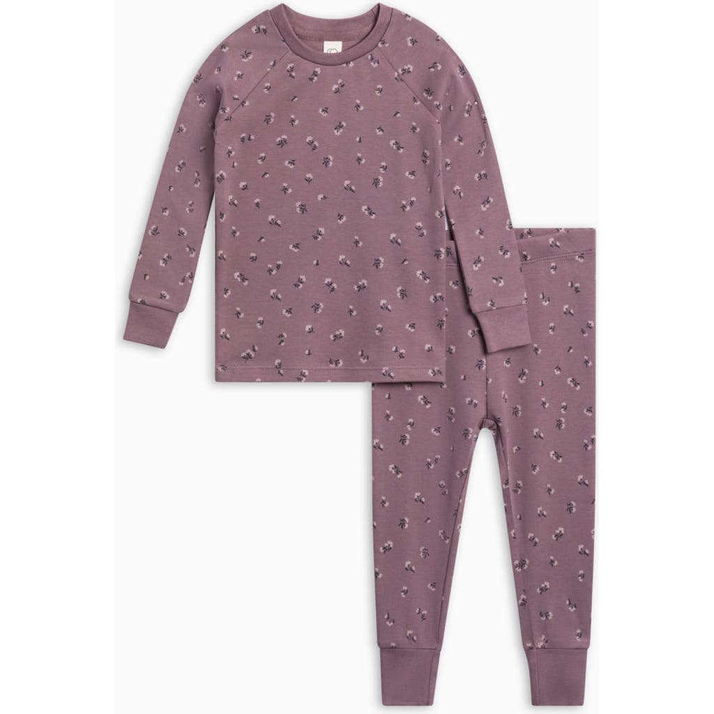 Colored Organics Kids' Organic 2-piece Long Sleeve Jammie Set