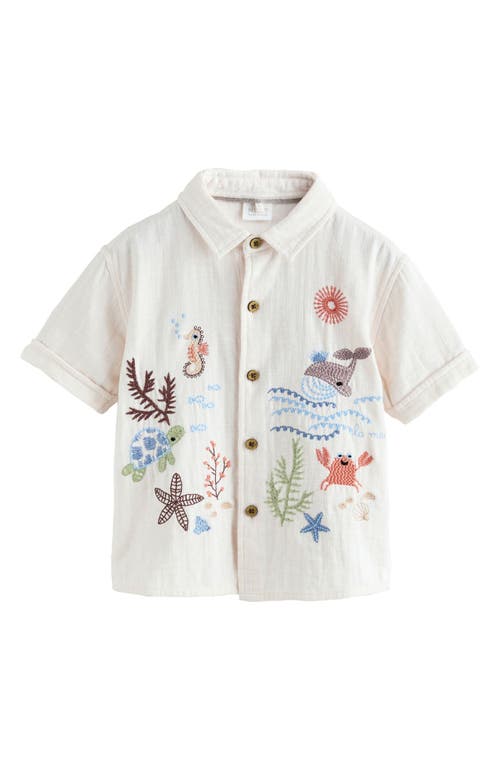 NEXT Kids' Embroidered Short Sleeve Cotton Button-Up Shirt in Neutral at Nordstrom, Size 4-5
