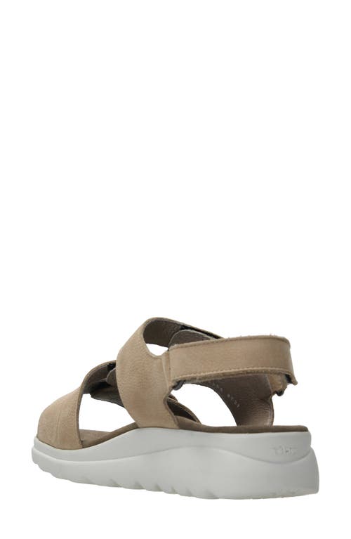 Wolky Ikaria Ankle Strap Platform Wedge Sandal In Beige Nubuck