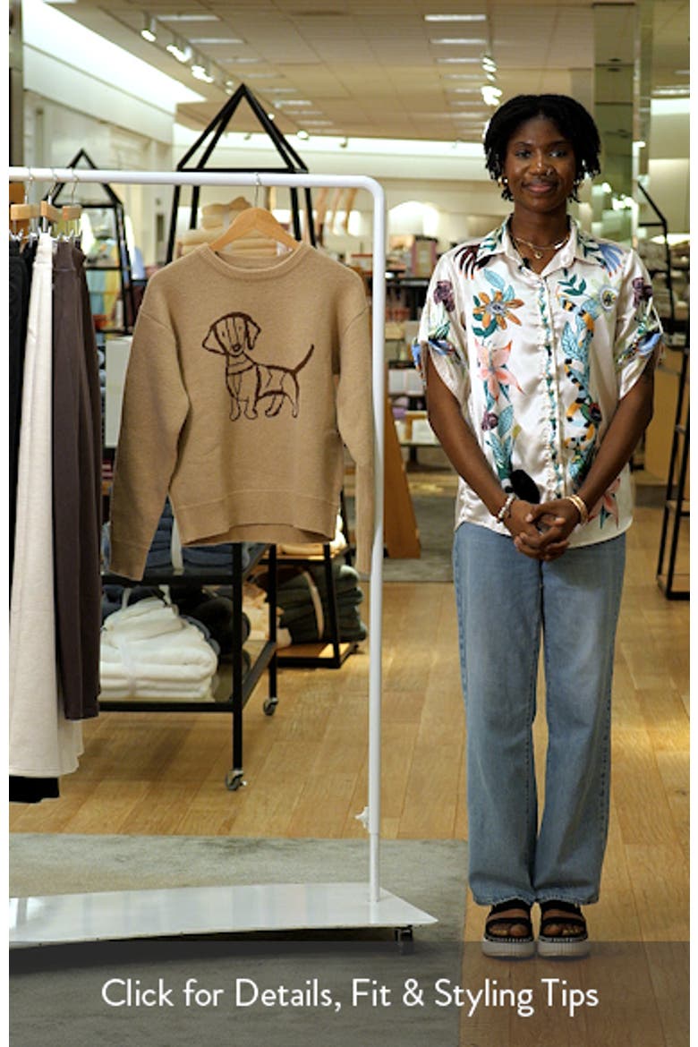 Amber Dachshund Crewneck Sweater video