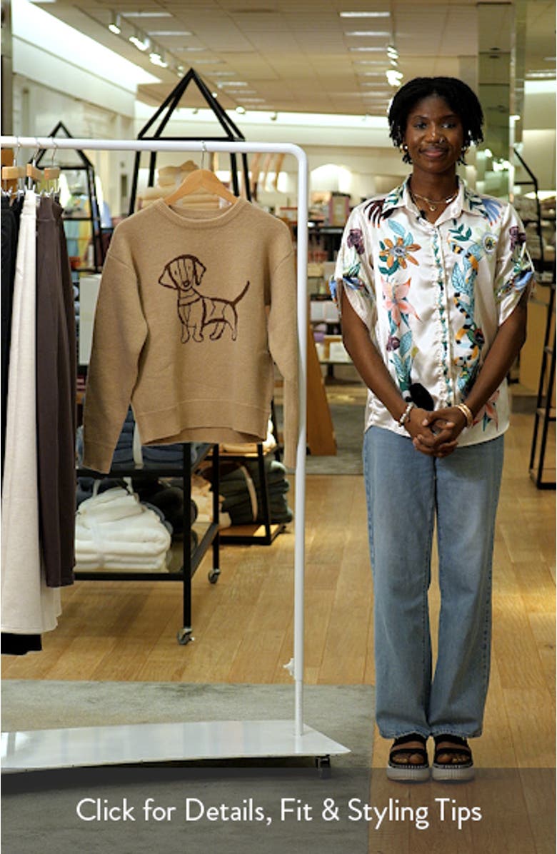 Amber Dachshund Crewneck Sweater, sales video thumbnail