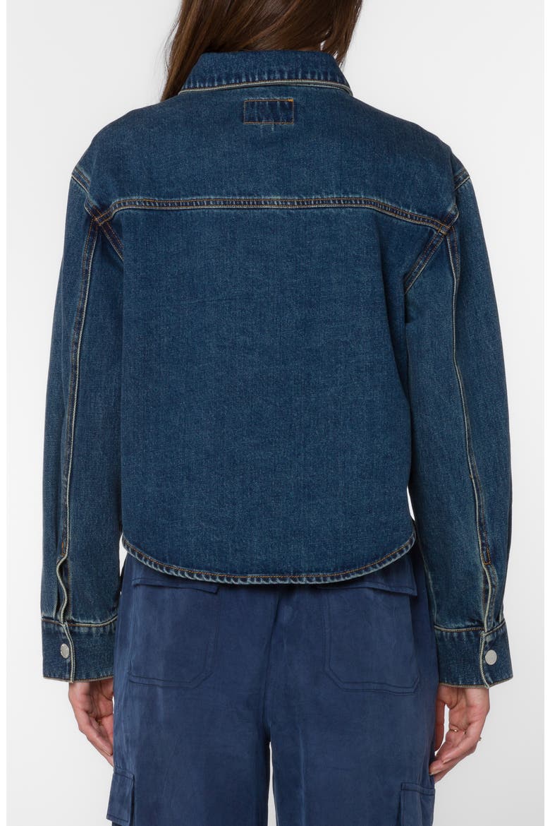 Dayle Crop Denim Jacket, Alternate, color, 206 HUDSON RIVER
