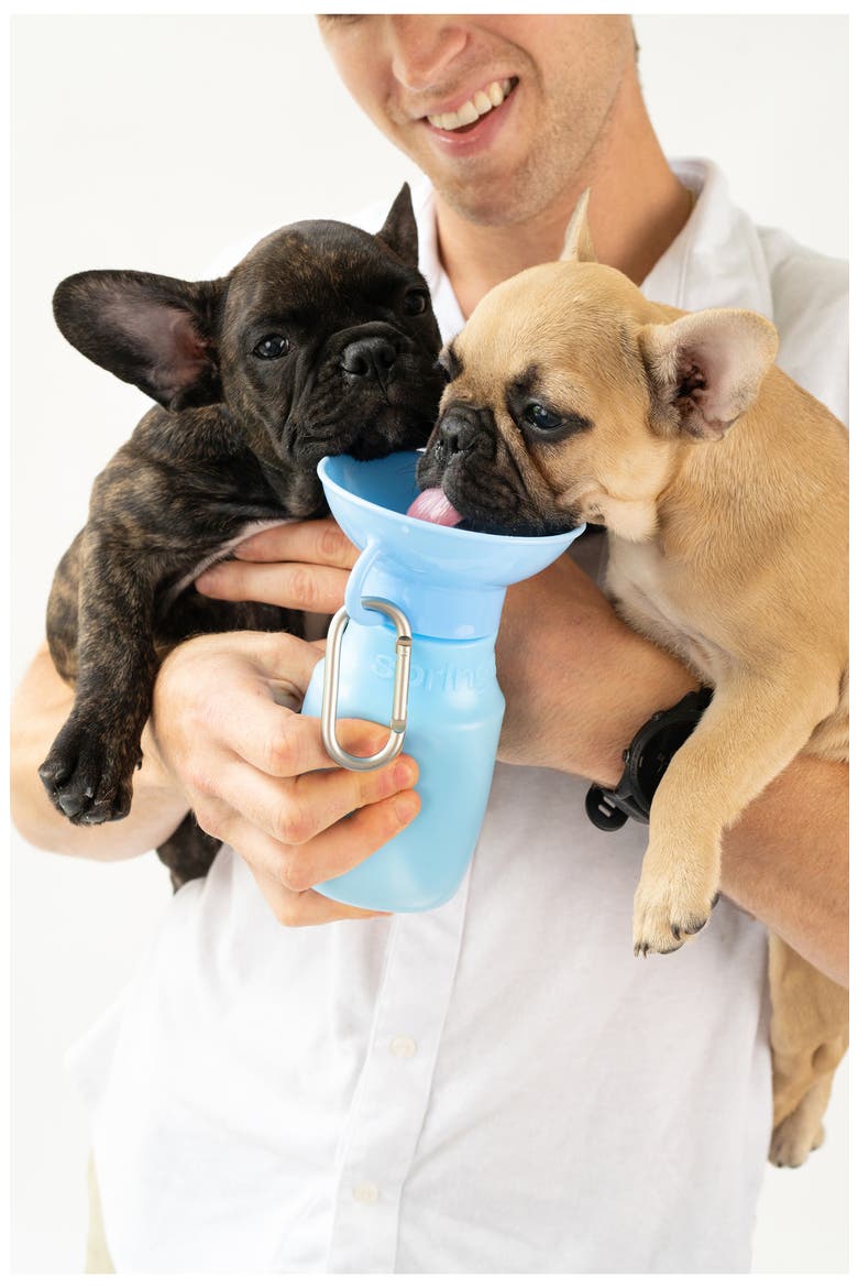 Dog Leash & 15 oz. Water Bottle Set, Alternate, color, SKY BLUE