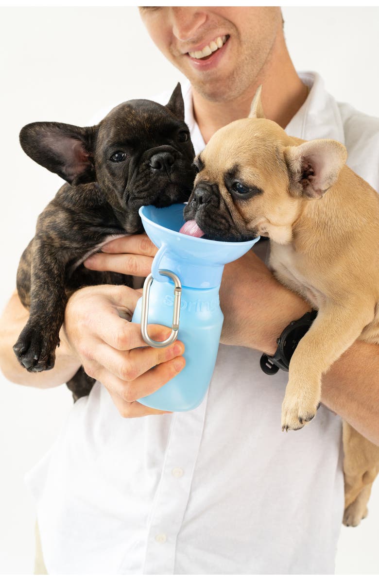 Springer Dog Leash & 15 oz. Water Bottle Set, Alternate, color, Sky Blue