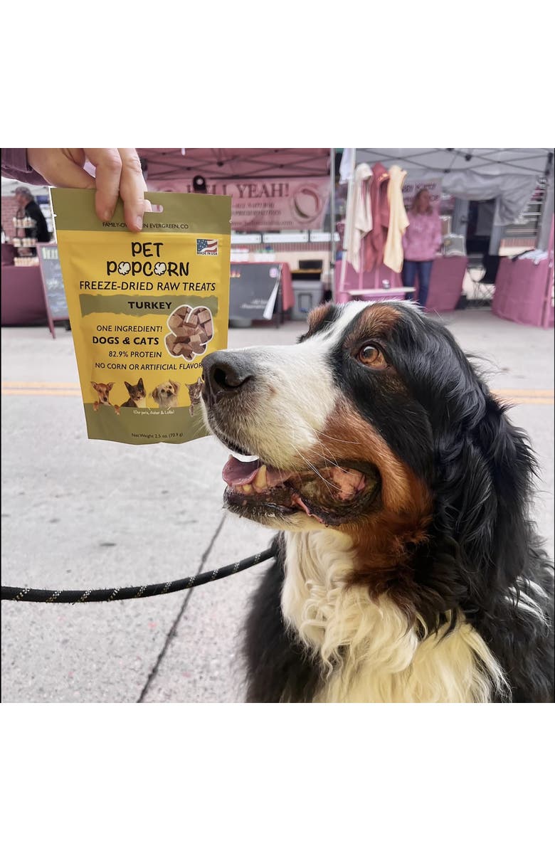 Pet Popcorn Freeze Dried Raw Treats, Turkey Breast, 2.5oz Bag, Dog & Cat Snacks, Alternate, color, 