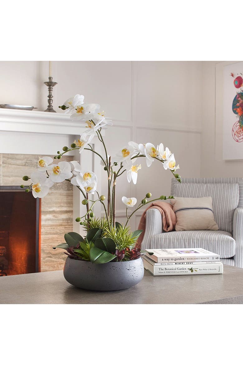 Artificial Orchid with Succulents, Alternate, color, White, green, grey