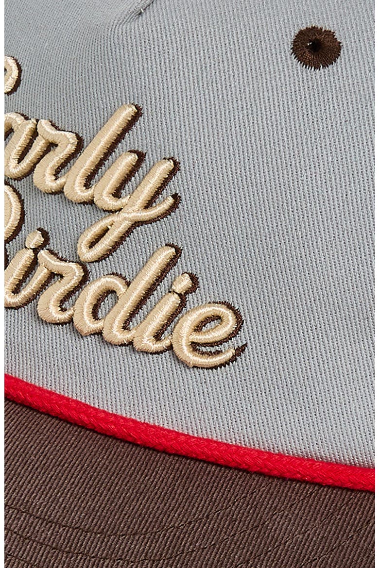 Embroidered Baseball Cap, Alternate, color, EARLY BIRDIE