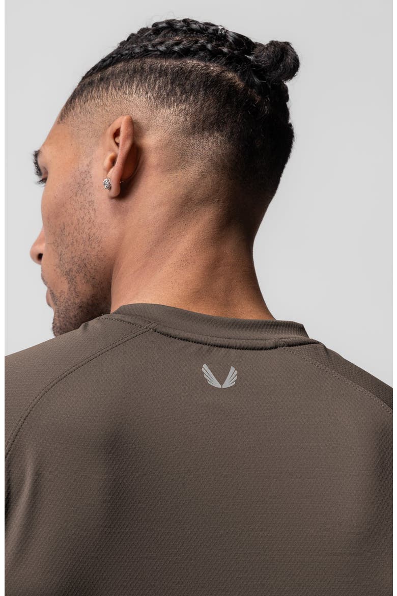 AeroSilver Fitted Tee, Alternate, color, Deep Taupe