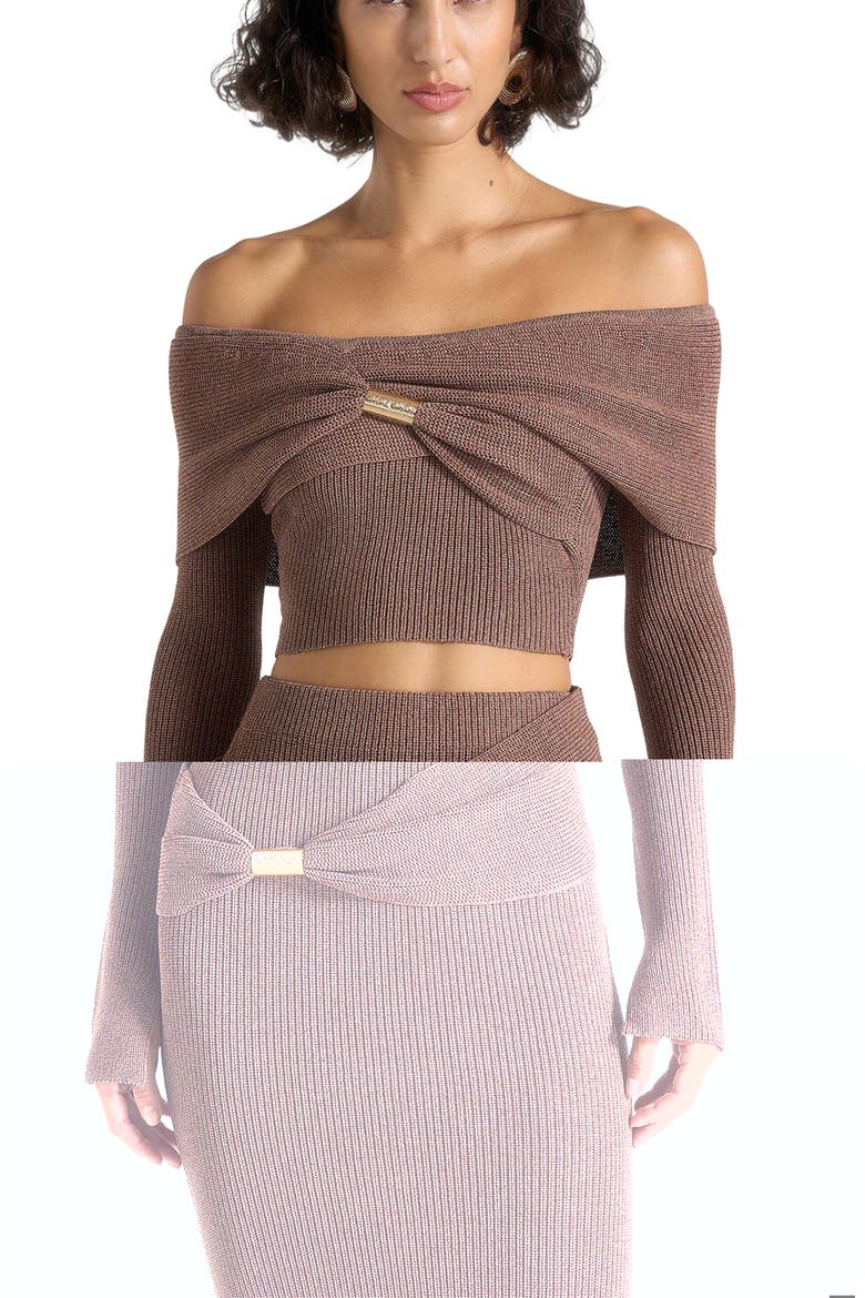Shana Asymmetric Bardot Top With Hardware Detail, Alternate, color, Taupe