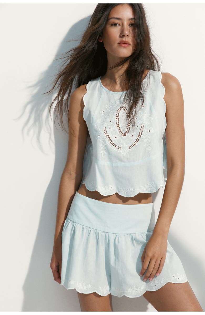 H&M Embroidered Shorts, Alternate, color, Light Turquoise