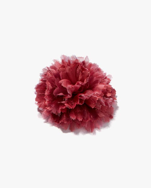 Helena Simon The Dark Pink Carnation In Pink