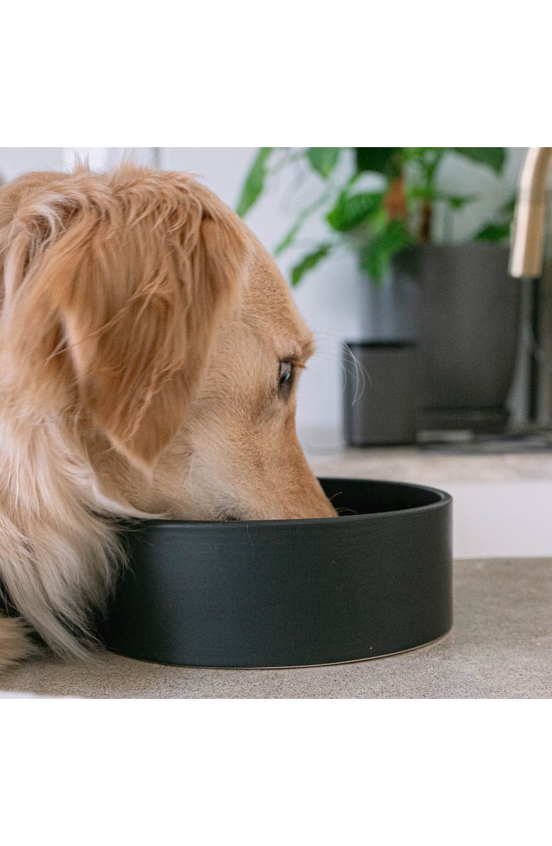 Dexypaws Ceramic Dog Bowl, 50oz Pet Feeding Dish, Alternate, color, Black