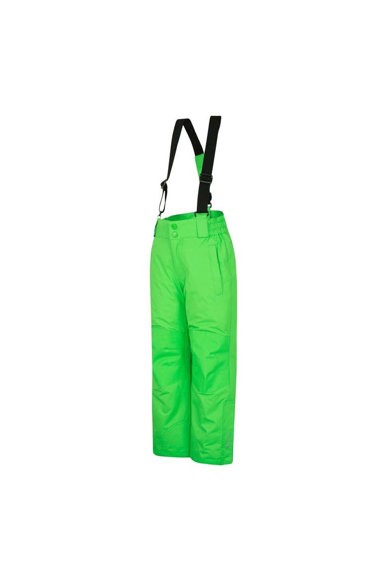 Childrens/Kids Raptor Ski Trousers, Alternate, color, Green