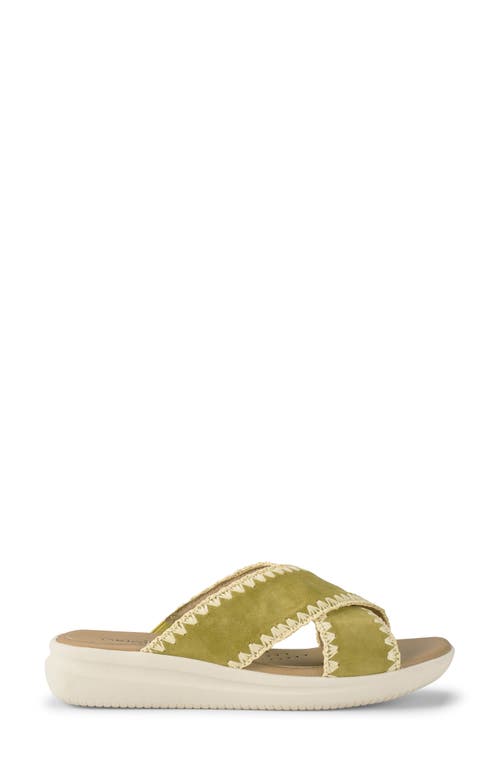 Baretraps Women's Origins Dolinda Slide Slip-on Sandals In Kelp Suede