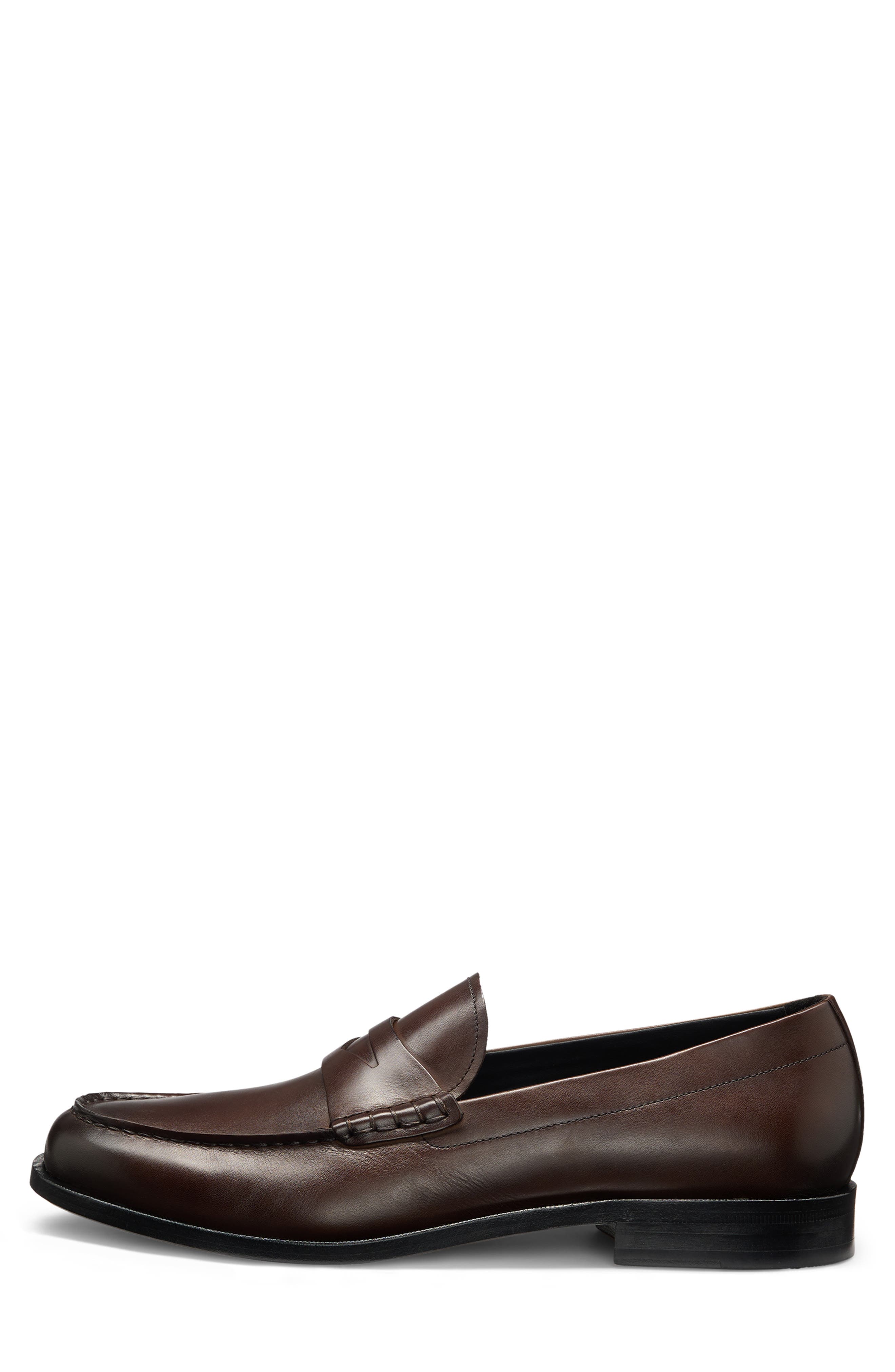 Tayil Penny Loafer, Alternate, color, DARK BROWN