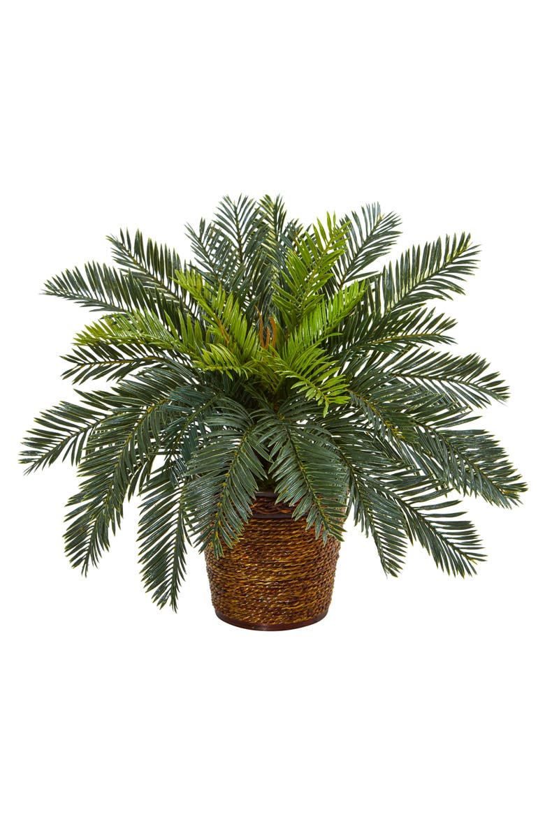 NEARLY NATURAL 15-in Cycas Artificial Plant in Basket, Main, color, Green