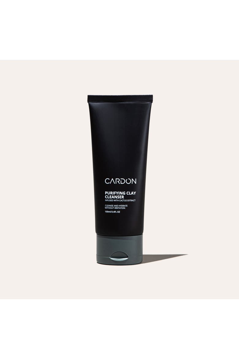 Purifying Clay Cleanser, Main, color, None (none)