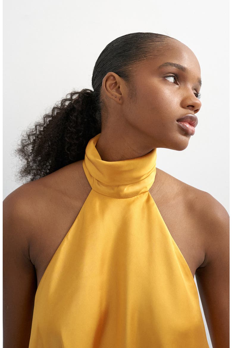 Backless High Neck Halter Top, Alternate, color, MUSTARD