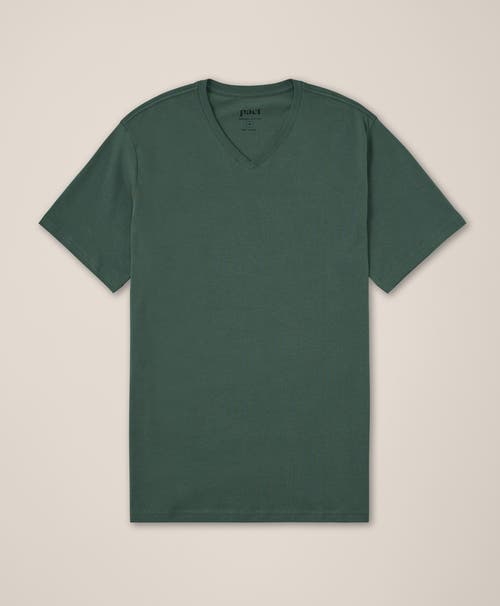 Pact Organic Cotton Softspun V-neck Tee In Green