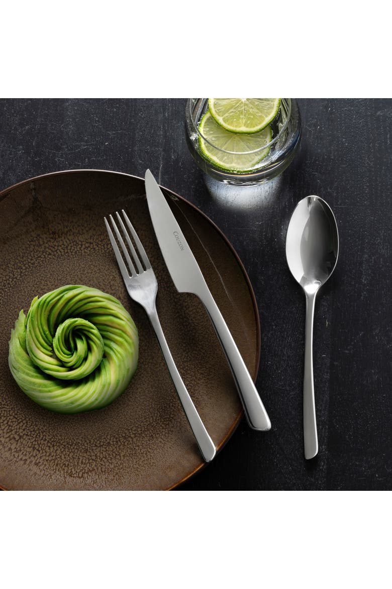 J'Ai Goute 5 Piece Place Setting, Alternate, color, STAINLESS STEEL