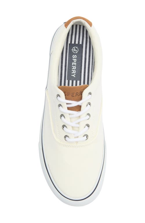 Sperry Striper Ii Cvo Sneaker In White