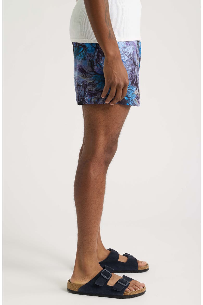 Roger Print Drawstring Shorts, Alternate, color, BLUE