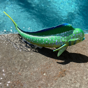 mahimahi Safari Ltd. Mahi-Mahi (Dolphin Fish) Toy | Nordstrom