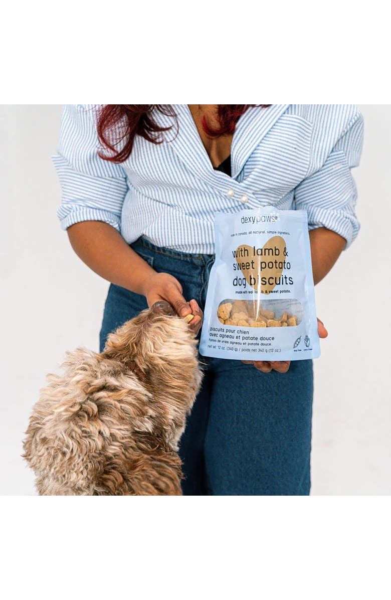 Dexypaws Lamb & Sweet Potato Dog Biscuits 12oz, Alternate, color, 