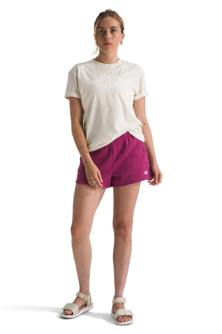Evolution Simple Dome Cotton T-Shirt, Alternate, color, WHITE DUNE/ TNF WHITE