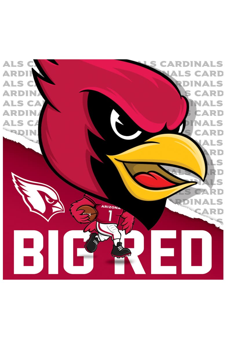 Arizona Cardinals Mascot 100pc Puzzle, Alternate, color, Multicolor