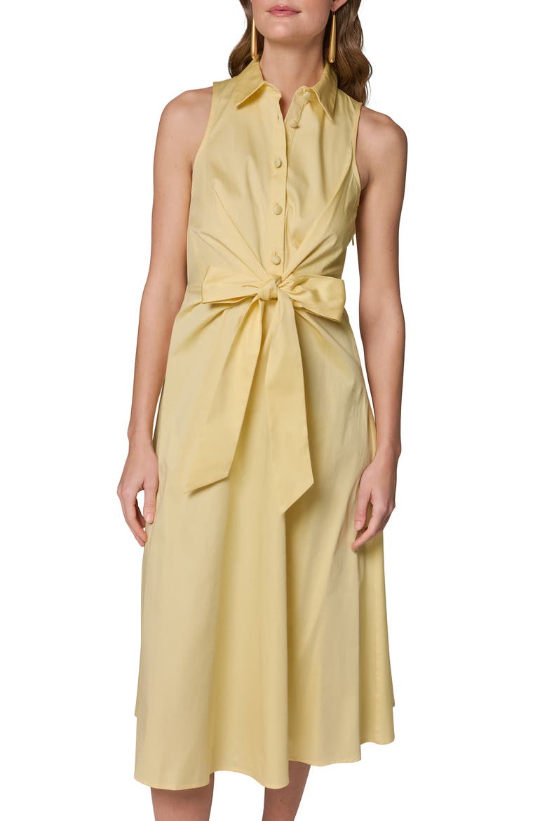 Sleeveless A-Line Midi Dress, Alternate, color, PANNA COTT