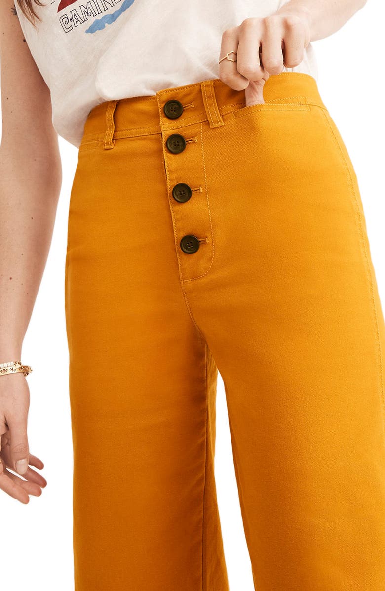 Madewell Emmett Wide Leg Crop Pants, Alternate, color, 