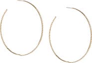 LANA Nude Curb Hoop Earrings