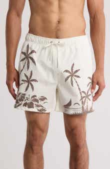 Vintage Summer Volley Swim Shorts
