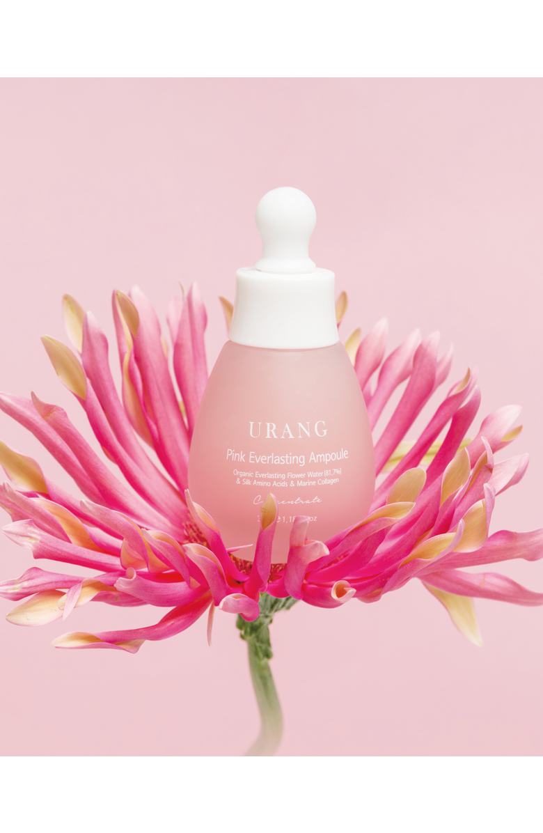 URANG Pink Everlasting Ampoule, Alternate, color, NO COLOR