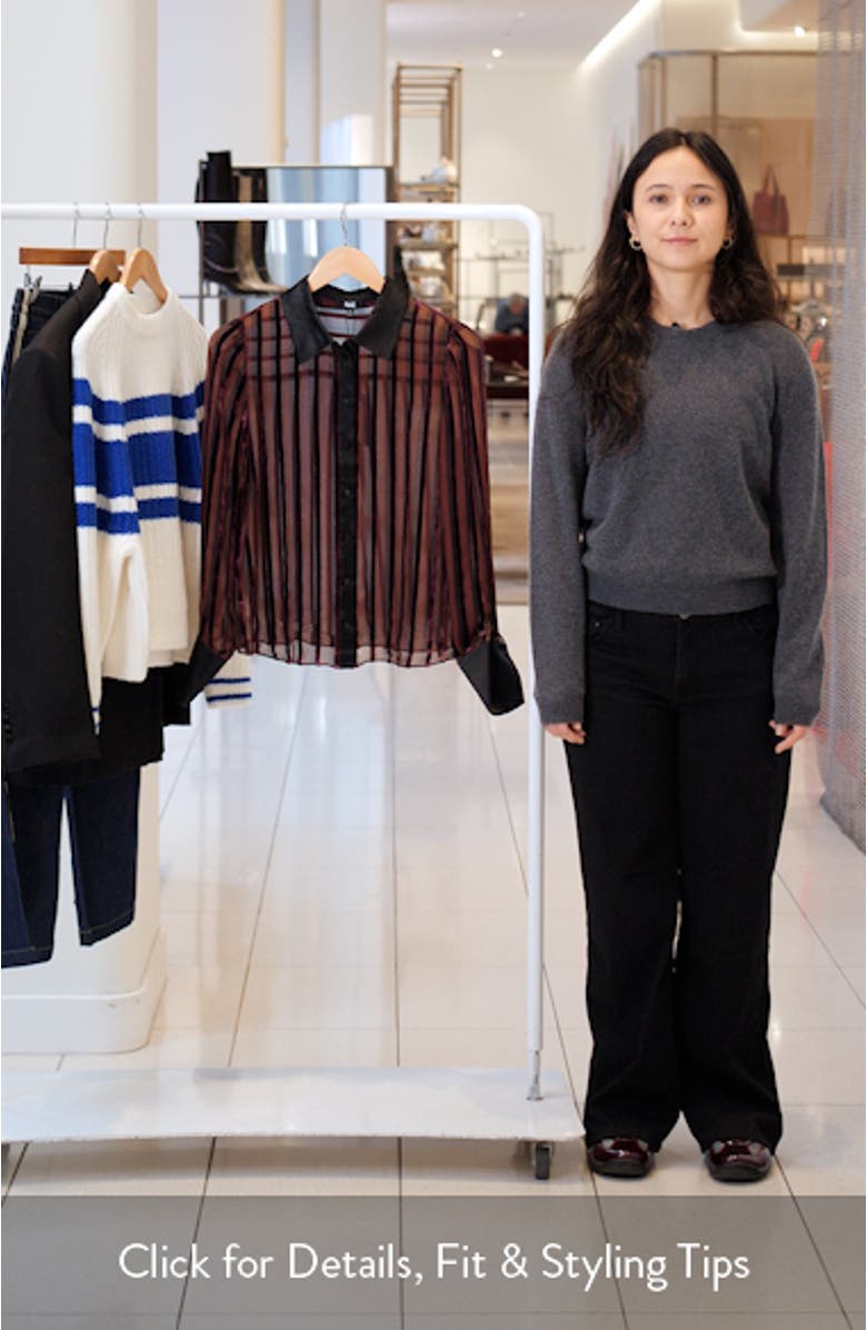 Mazzy Velvet Stripe Sheer Silk Blend Shirt, sales video thumbnail