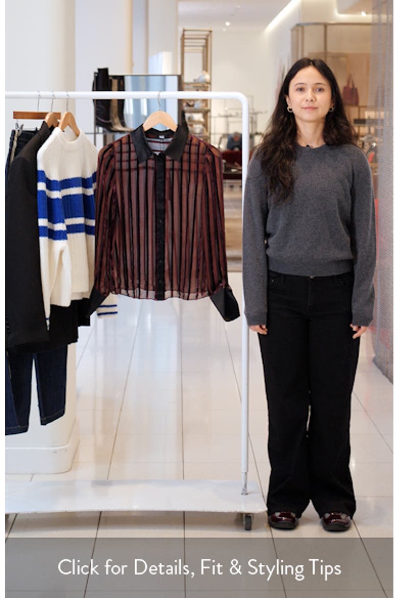 Mazzy Velvet Stripe Sheer Silk Blend Shirt video