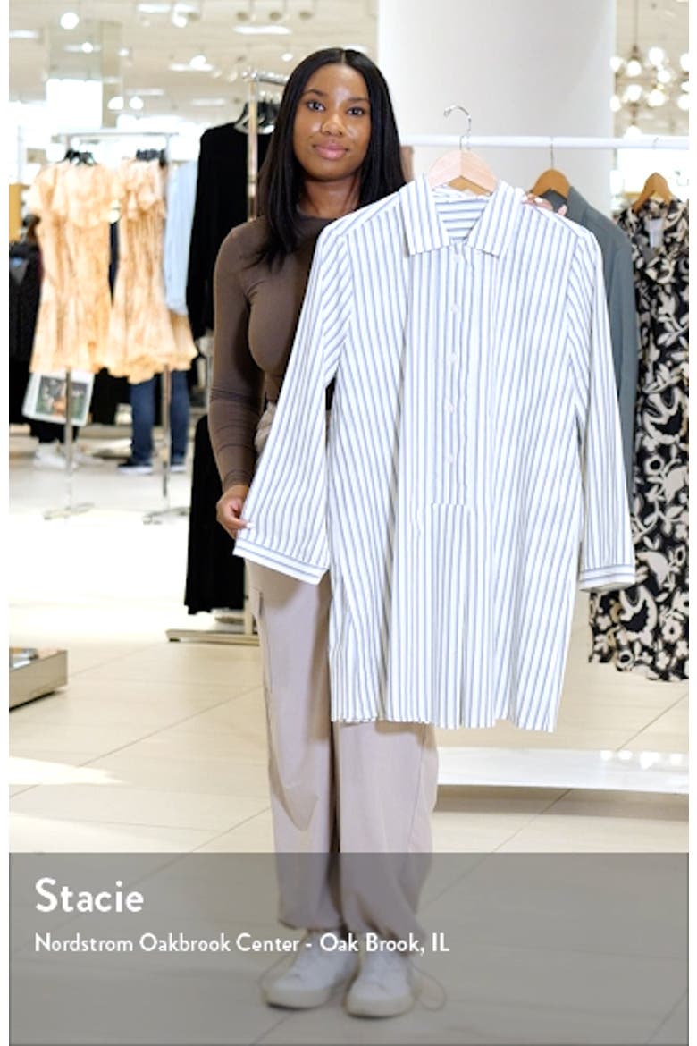 Gabija Stripe Tunic Shirtdress video
