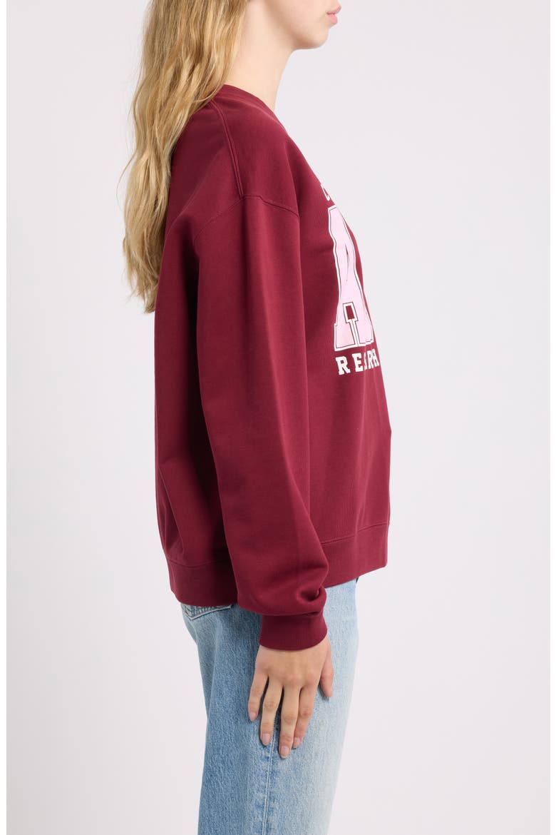 Wander Arctic Research Graphic Organic Cotton Sweatshirt, Alternate, color, BURNT VERMILLION