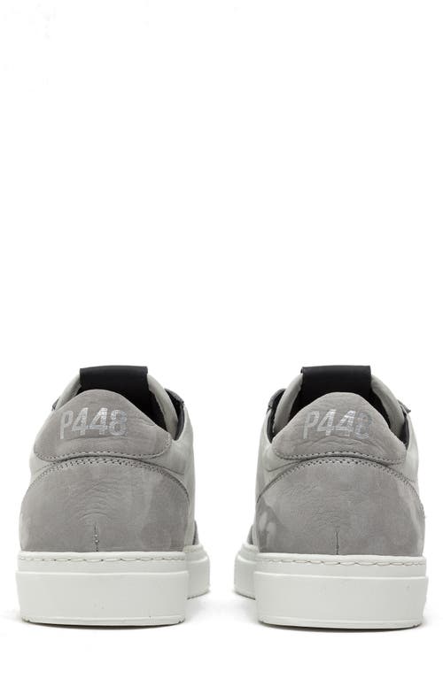 P448 Soho Suede Sneaker
