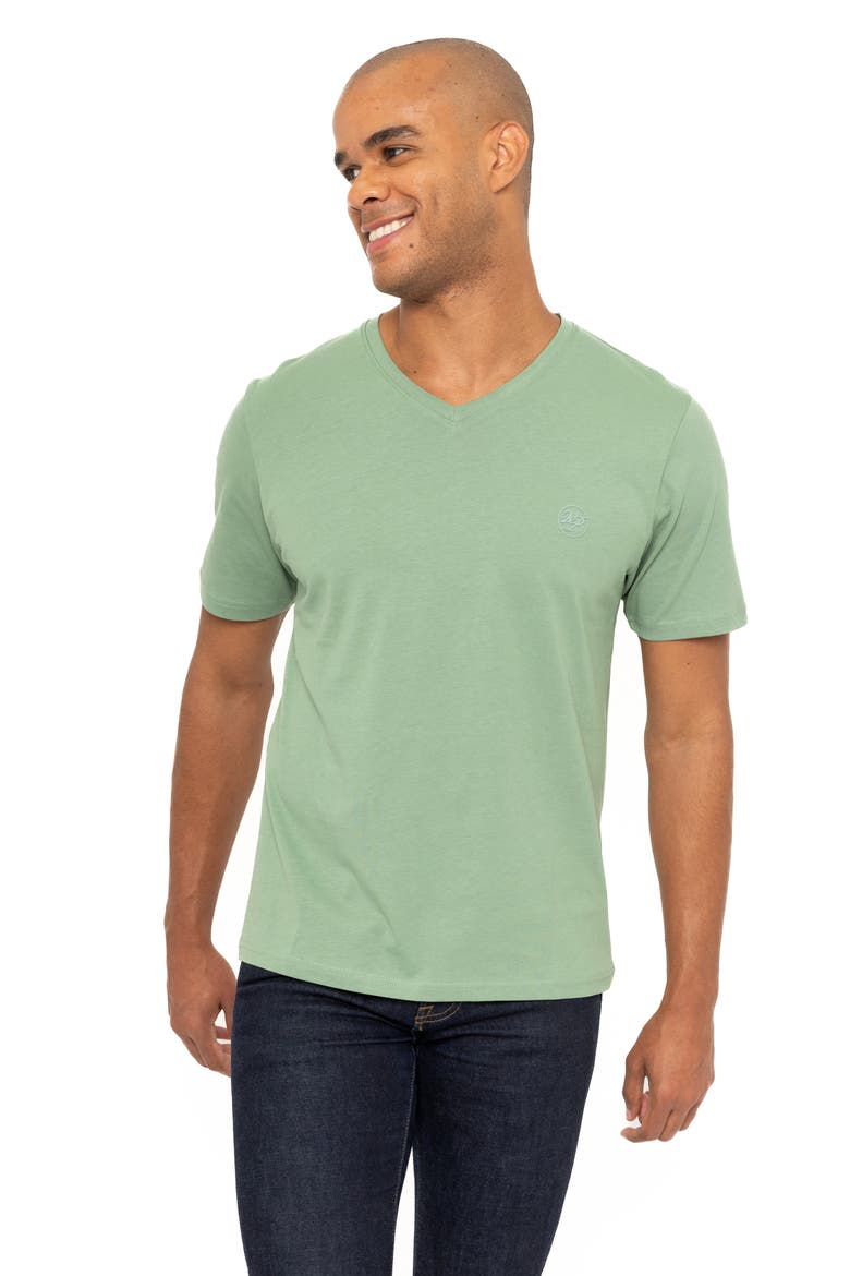 Montpellier V-Neck Cotton T-Shirt, Alternate, color, GREEN